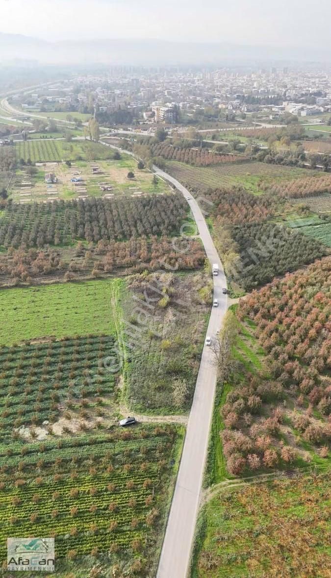 Bursa Osmangazi Armut Mah. Asfalta Cephe 3640 M² Satılık Bahçe - Görsel 19