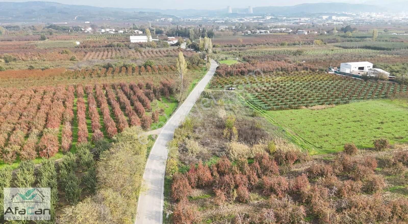 Bursa Osmangazi Armut Mah. Asfalta Cephe 3640 M² Satılık Bahçe - Görsel 21