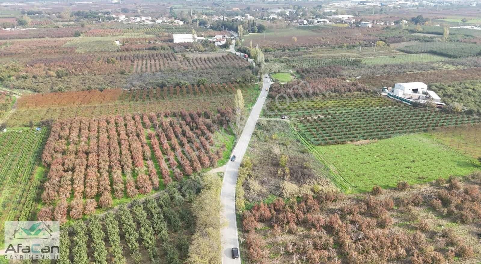 Bursa Osmangazi Armut Mah. Asfalta Cephe 3640 M² Satılık Bahçe - Görsel 23