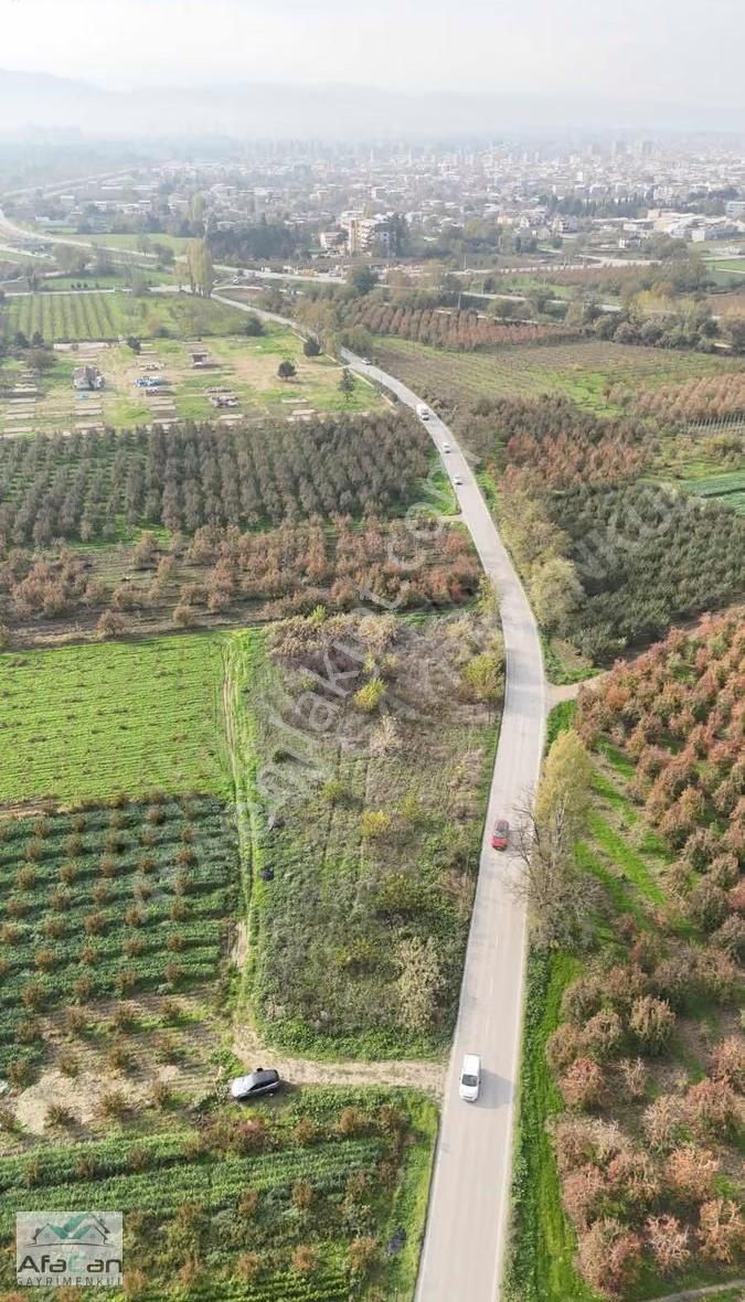 Bursa Osmangazi Armut Mah. Asfalta Cephe 3640 M² Satılık Bahçe - Görsel 8