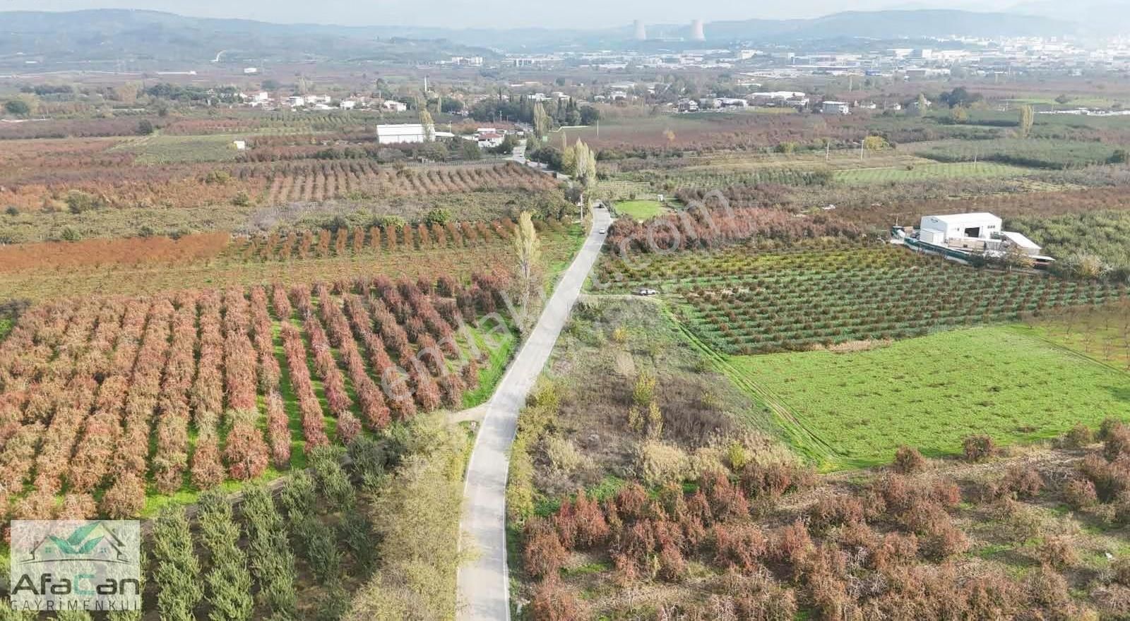 Bursa Osmangazi Armut Mah. Asfalta Cephe 3640 M² Satılık Bahçe - Görsel 18