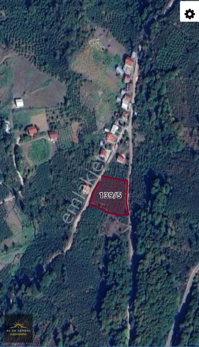 Sakarya/hendek/dikmen Mahallesinde Satılık Fındık Bahçesi - Görsel 2