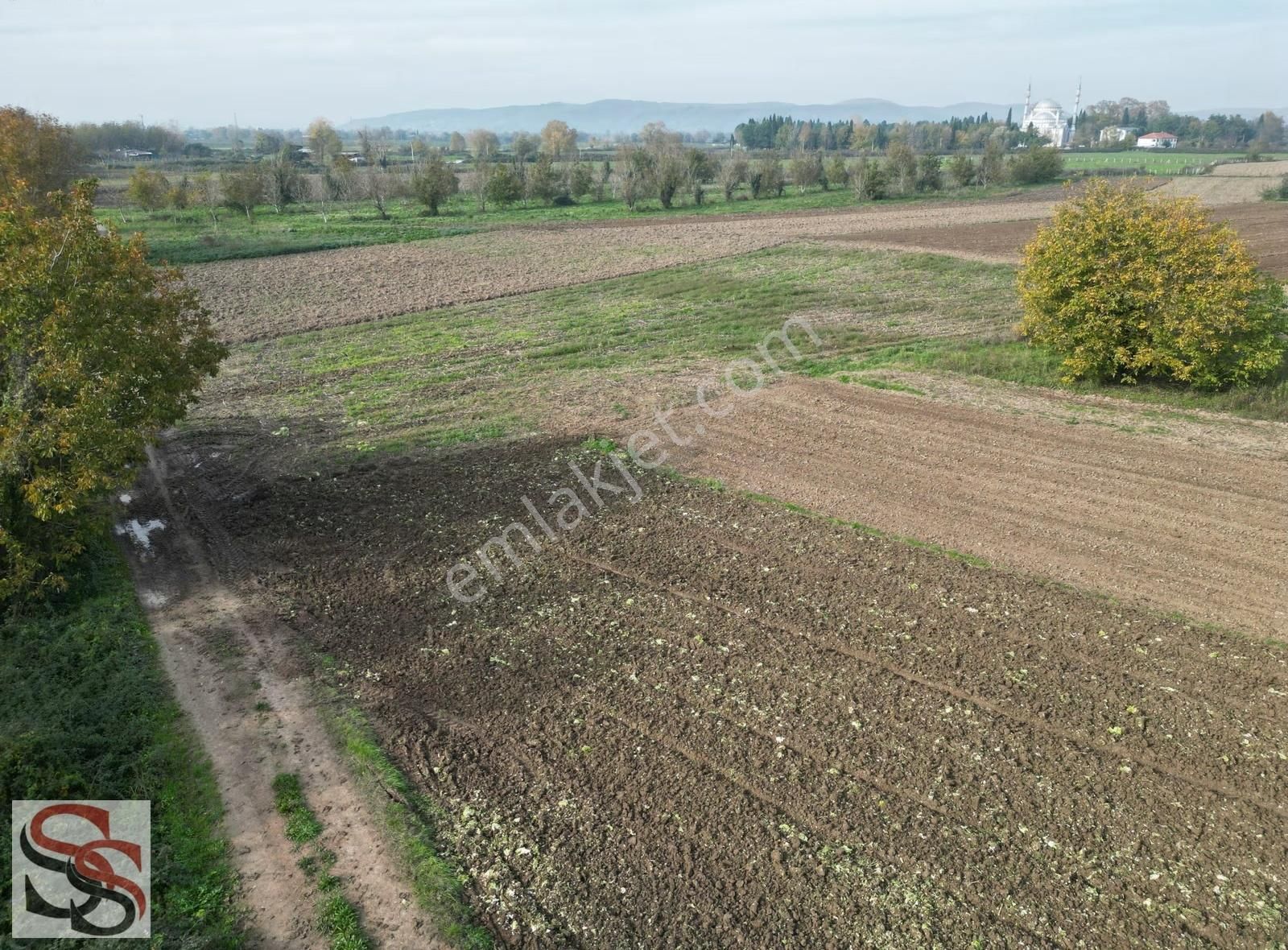 Adapazarı Abalı Mahallesinde 3,304 M² Yatırıma Uygun Tarla - Görsel 10