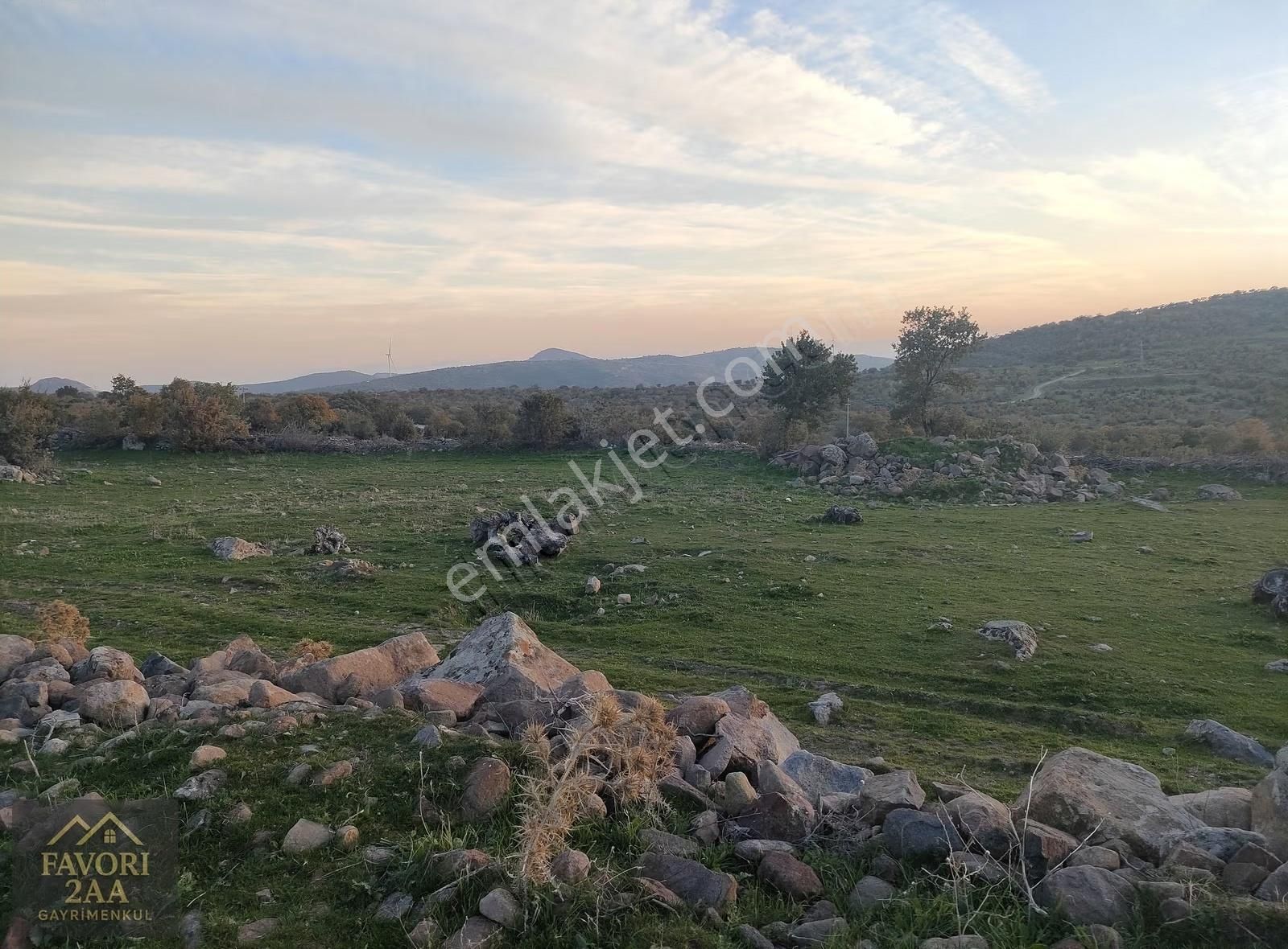 Bergama İsmailli Mah Satılık Ev Ve Tarla - Görsel 11