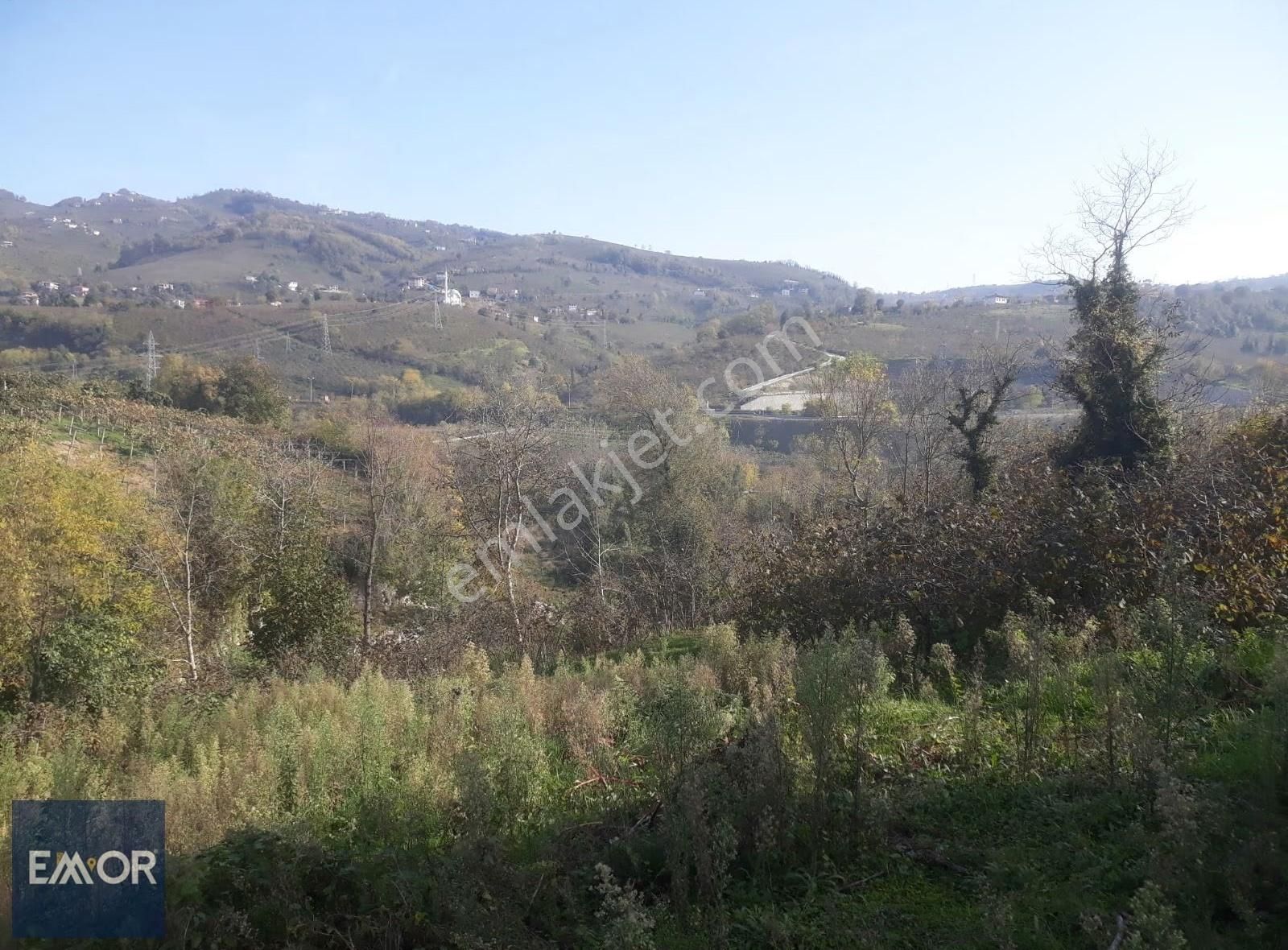 Emor Gayrimenkul Den Efirli De Satılık 1500 M2 Arsa - Görsel 15