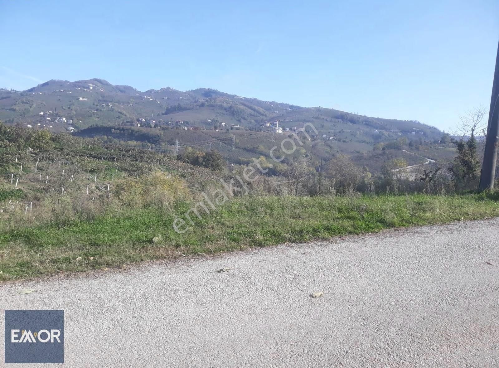 Emor Gayrimenkul Den Efirli De Satılık 1500 M2 Arsa - Görsel 20