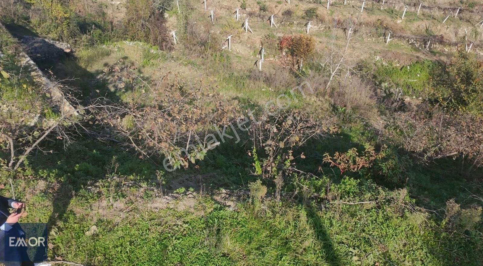 Emor Gayrimenkul Den Efirli De Satılık 1500 M2 Arsa - Görsel 10