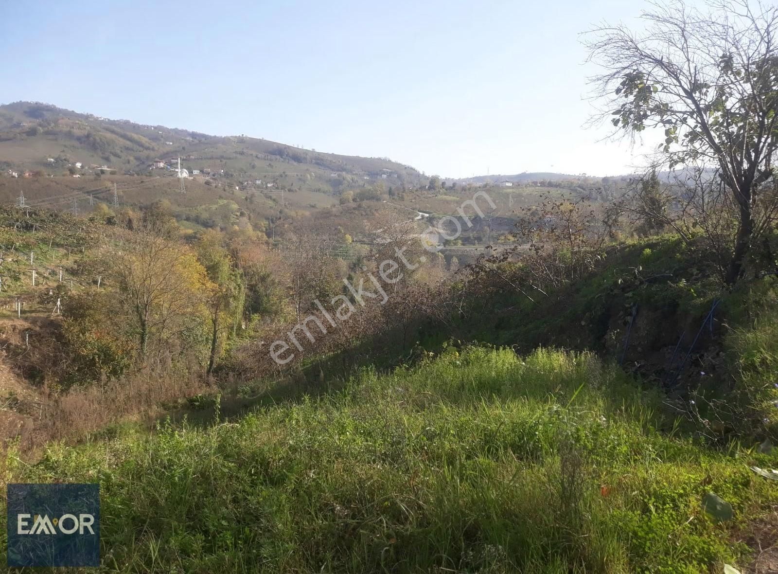 Emor Gayrimenkul Den Efirli De Satılık 1500 M2 Arsa - Görsel 21
