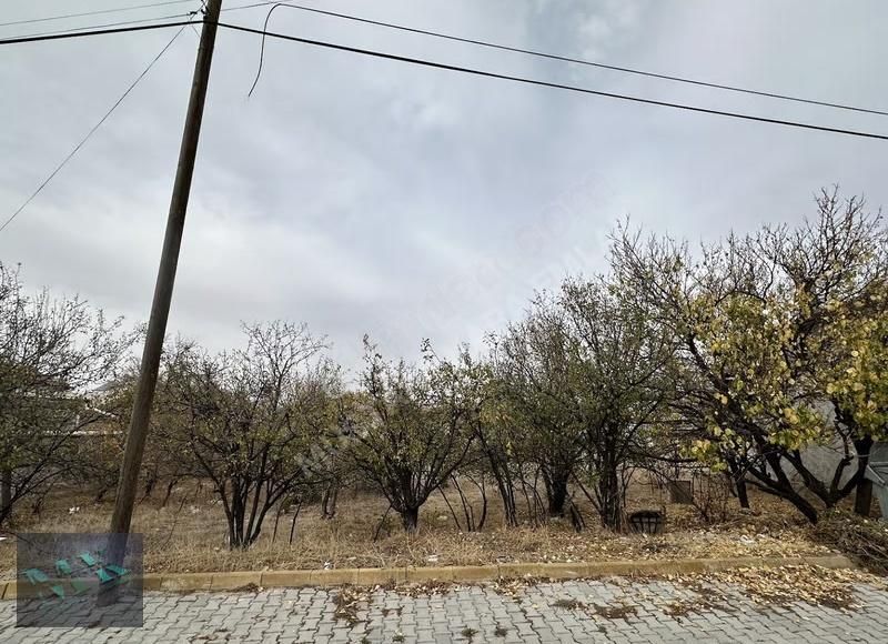 Mustafa Karadan Kadınhanı Karakaya Da 2 Kata İmarlı Ticari Arsa - Görsel 8