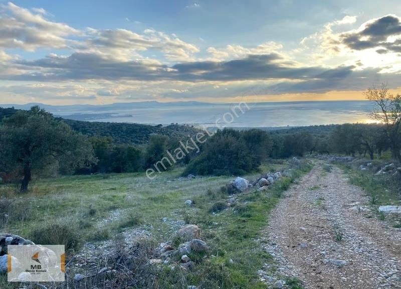 İzmir Bergama Zeytindağ Deniz Manzaralı Parseller - Görsel 6