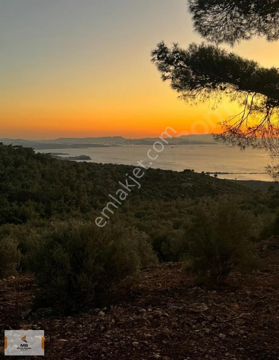 İzmir Bergama Zeytindağ Deniz Manzaralı Parseller - Görsel 13