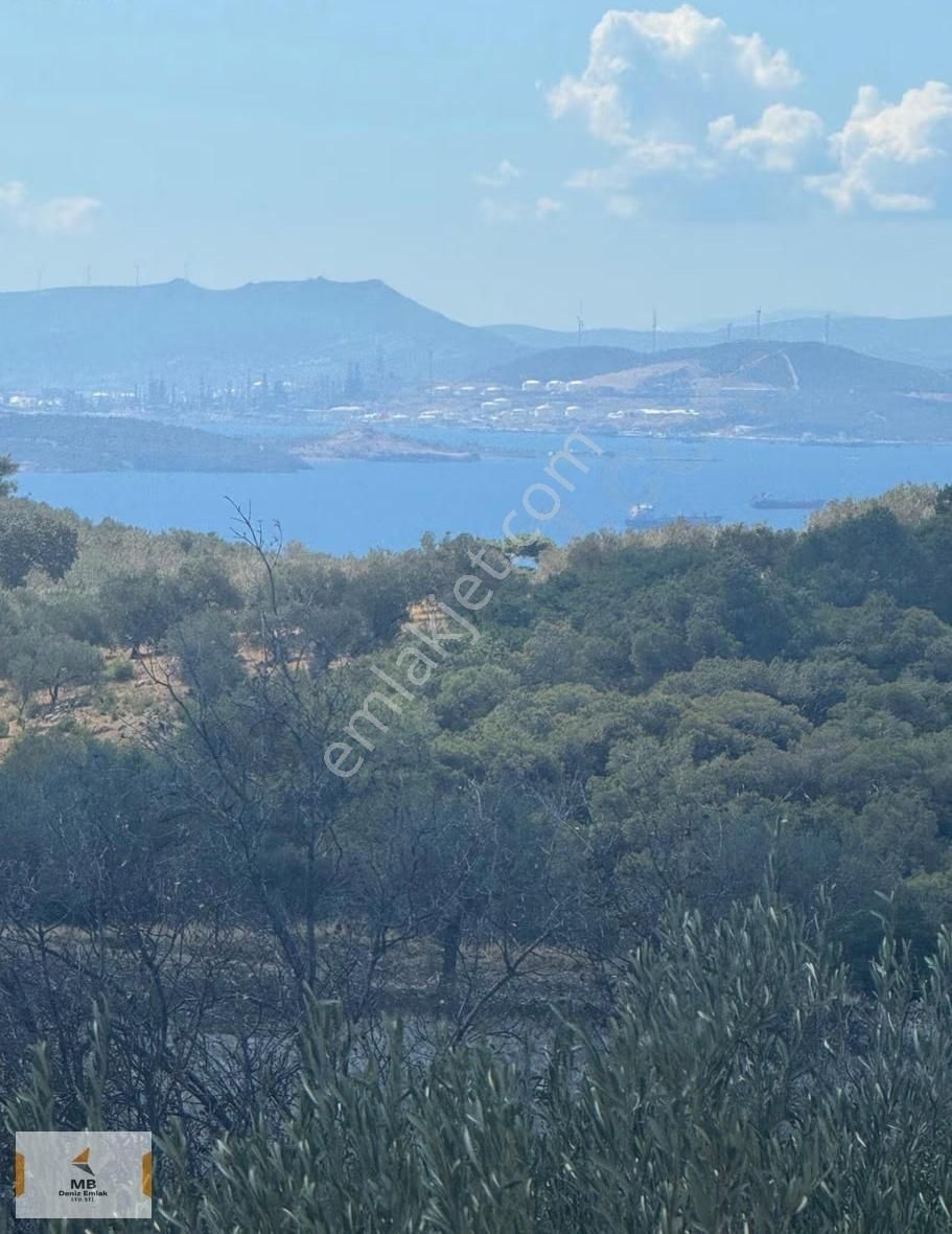 İzmir Bergama Zeytindağ Deniz Manzaralı Parseller - Görsel 12