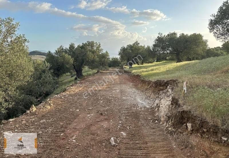 İzmir Bergama Zeytindağ Deniz Manzaralı Parseller - Görsel 2