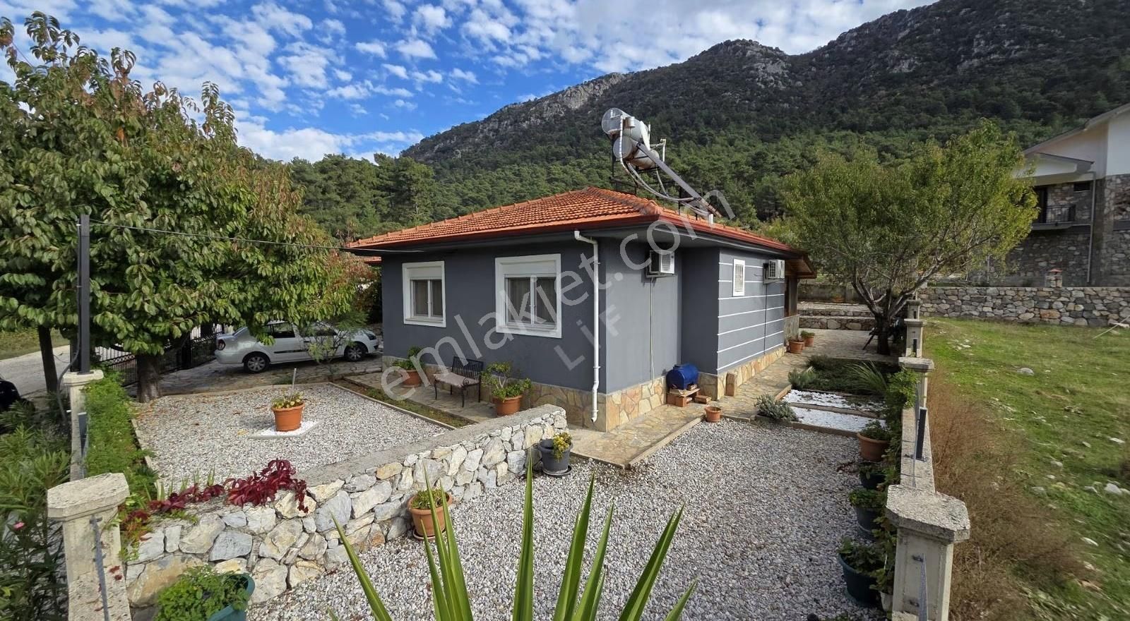 Tek Katlı Müstakil Bahçeli - Görsel 2