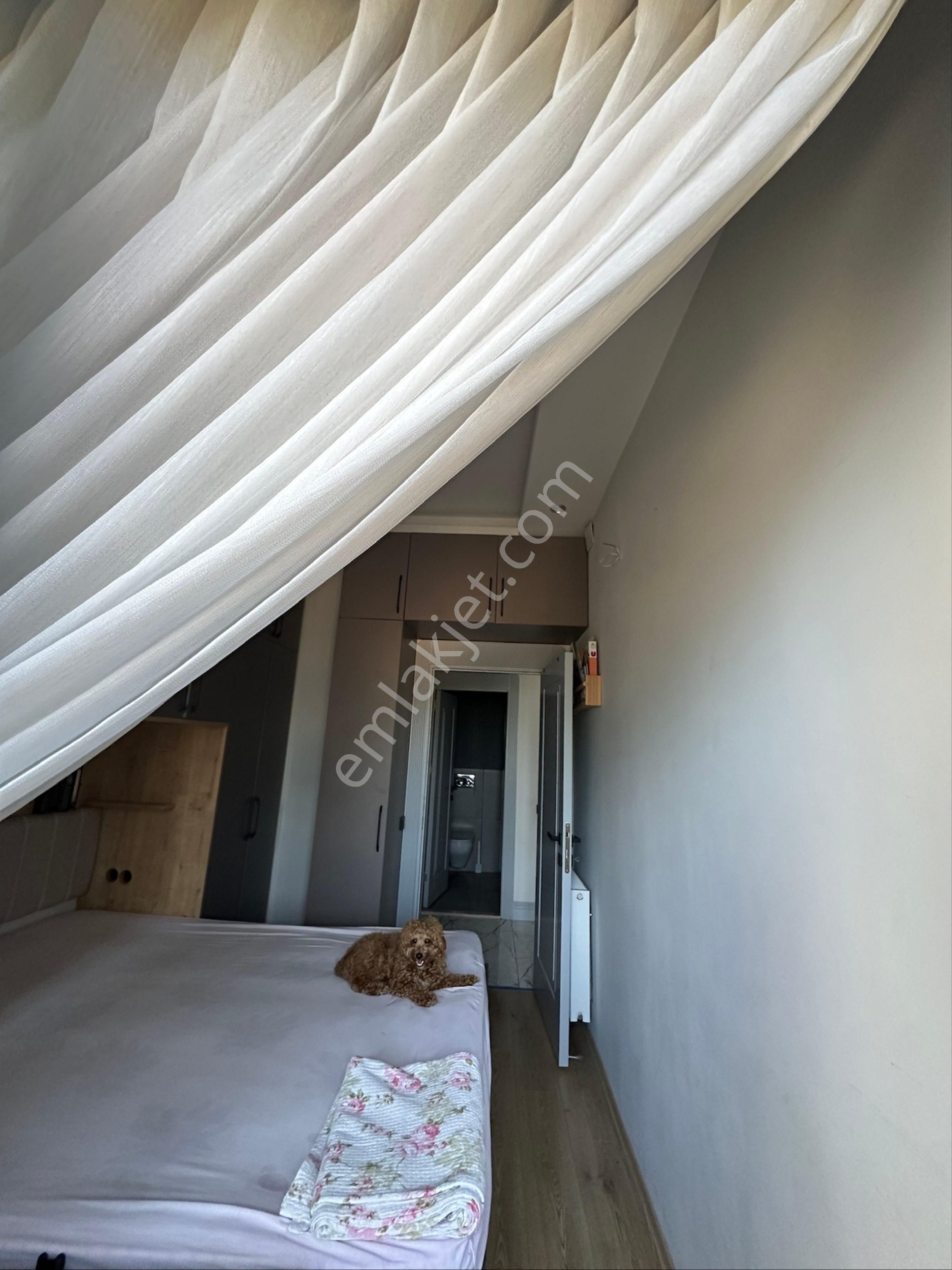 Tayin Durumundan Satılıktır. Takas Düşünmüyoruz. - Görsel 10