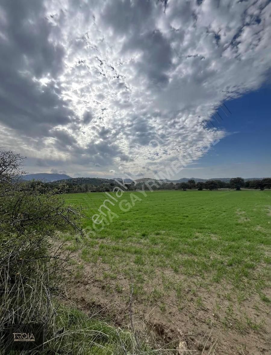 Ezine Aladağ Köyü Bozcaada Ve Deniz Manzaralı Yatırımlık Tarla - Görsel 5