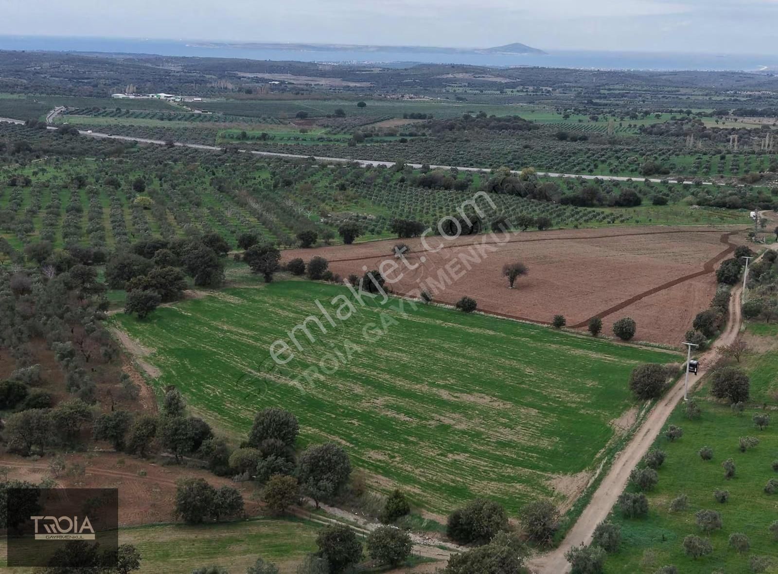 Ezine Aladağ Köyü Bozcaada Ve Deniz Manzaralı Yatırımlık Tarla - Görsel 7