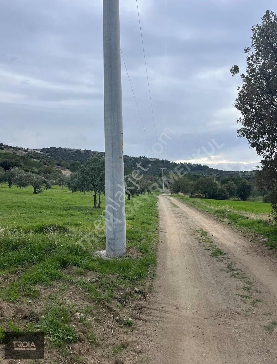 Ezine Aladağ Köyü Bozcaada Ve Deniz Manzaralı Yatırımlık Tarla - Görsel 11