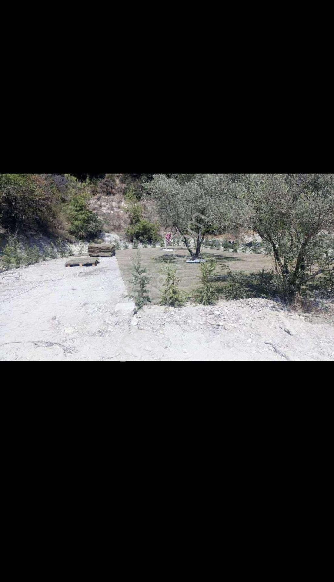 Kuşadası Yayla Köyde Satılık Hobi - Görsel 6