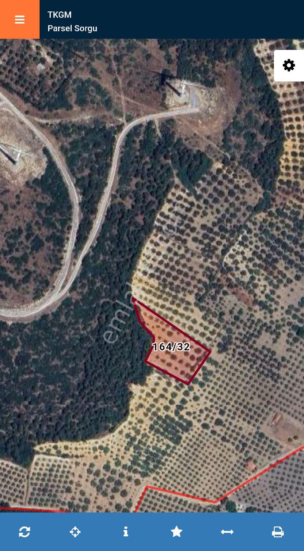 Manisa Kırkağaç Karakurt'da 3.740 M2 Bakımlı Zeytinlik. Açıklamayı Okuyarak Arayınız. - Görsel 2