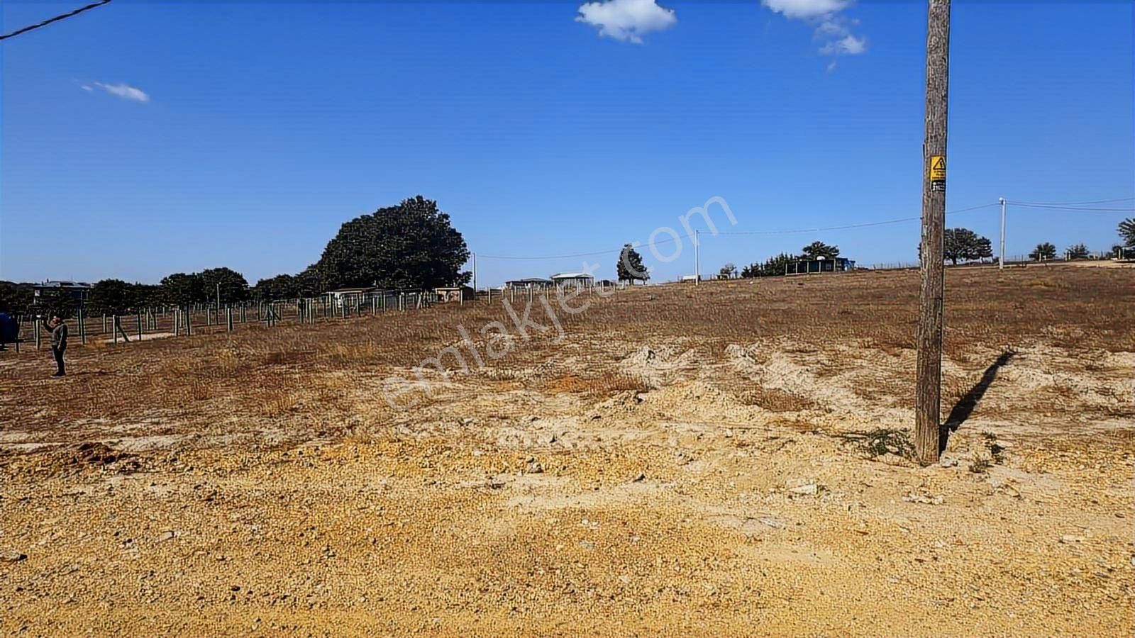 Çerkezköy İstasyon Ambardere Satılık 800m2 Villa İmarlı Arsa - Görsel 15