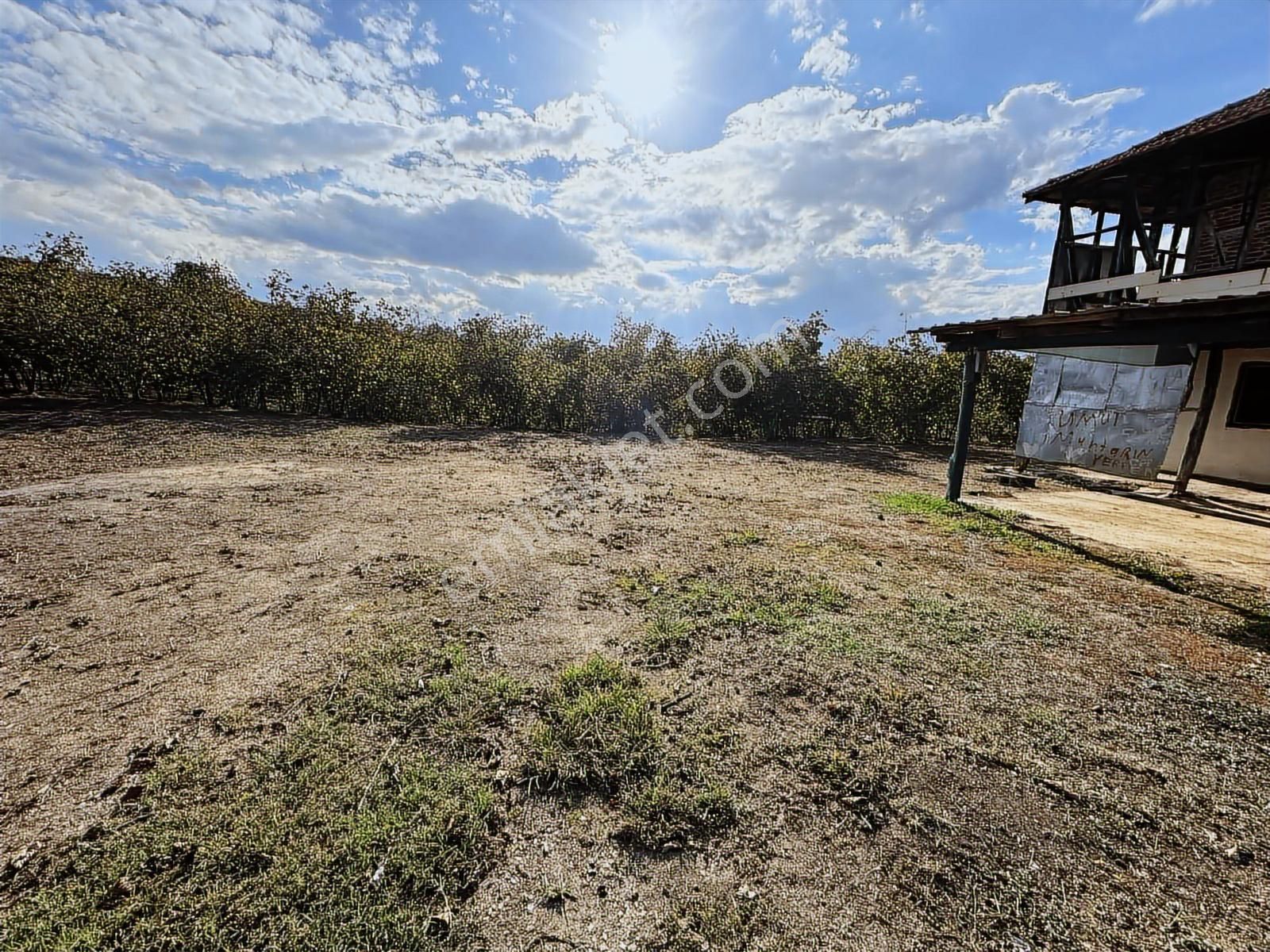 Merkeze Yakın Deniz Manzaralı 9.790 M2 Fındık Bahçesi Takas Olur - Görsel 8