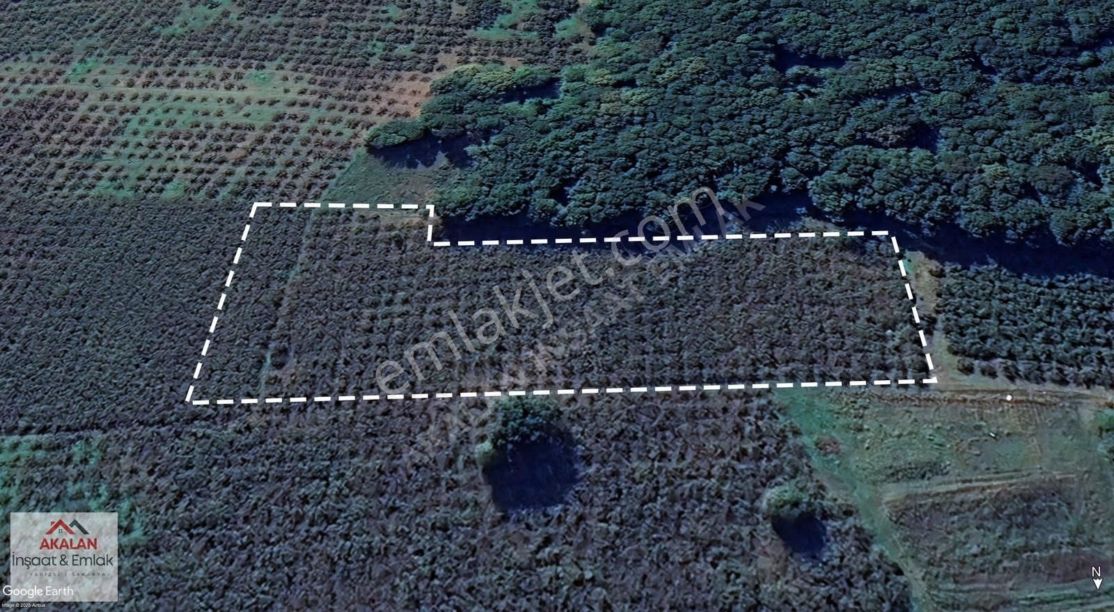 Resuller'de Resmi Yola Cepheli 7.667 M2 Bakımlı Fındık Bahçesi - Görsel 9