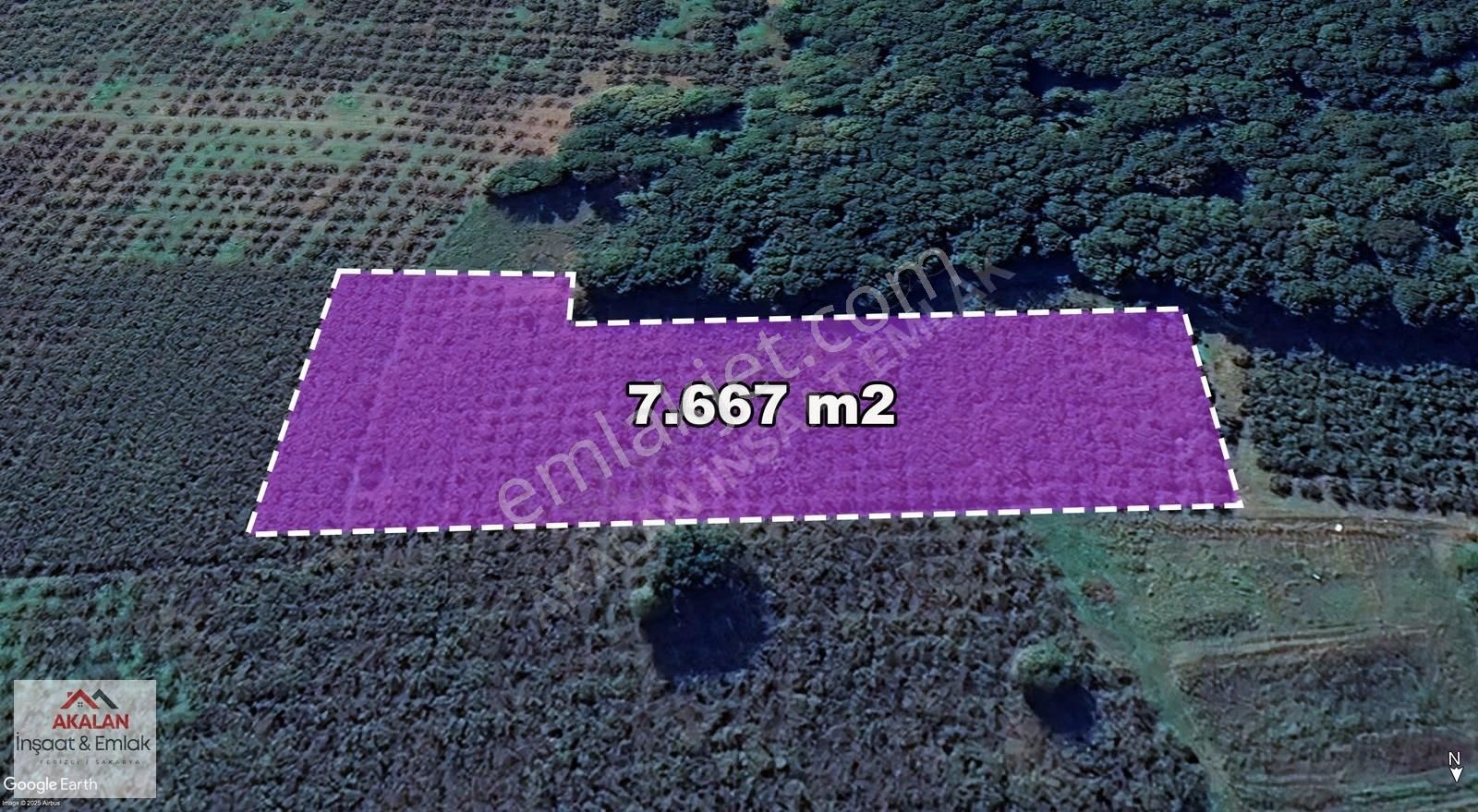 Resuller'de Resmi Yola Cepheli 7.667 M2 Bakımlı Fındık Bahçesi - Görsel 10