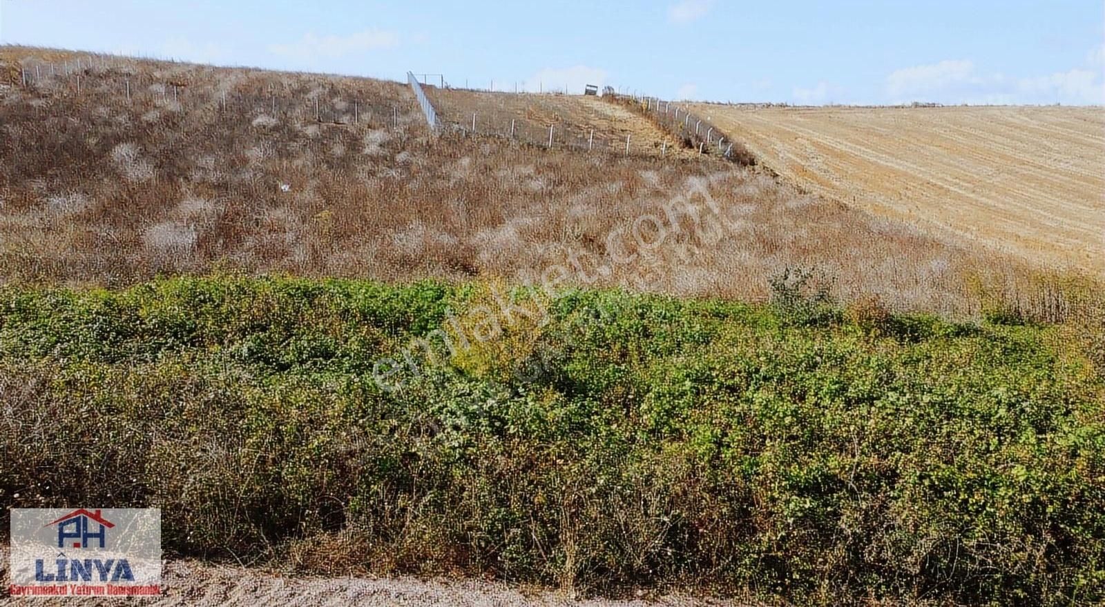 Kocaeli Körfez Himmetli Köyünde Satılık %5 İmarlı Tarla - Görsel 9
