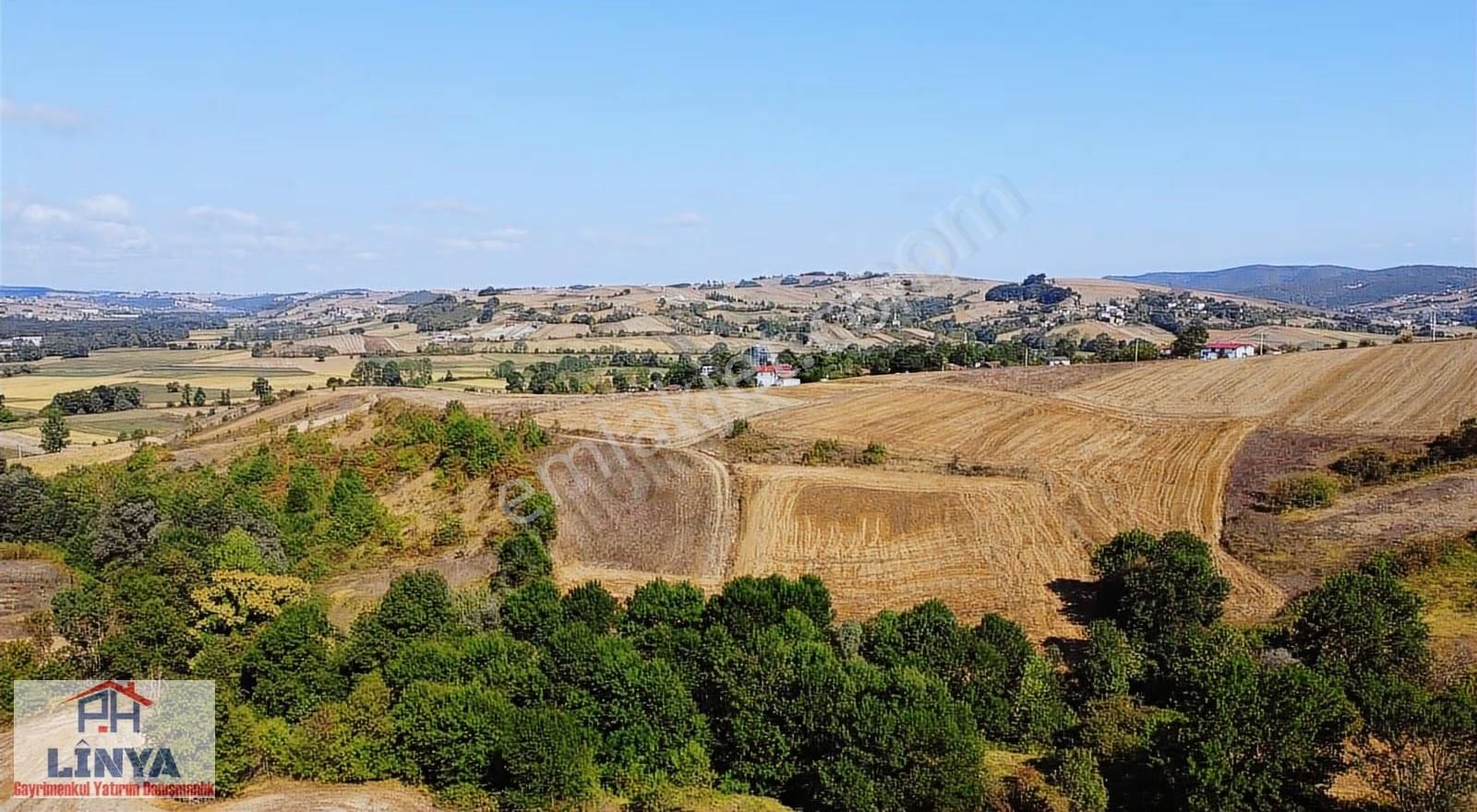 Kocaeli Körfez Himmetli Köyünde Satılık %5 İmarlı Tarla - Görsel 7