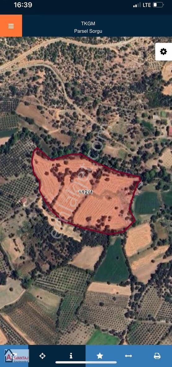 Muğla/seydikemer Kayadibi 28534m2 Köy İçi Tarla !