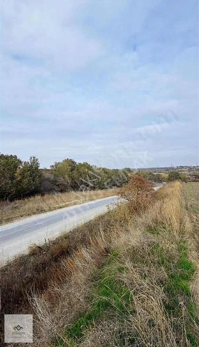 Lüleburgaz Çeşmekolu Da 1286 M2 Asfalt Cephe Satılık Tarla