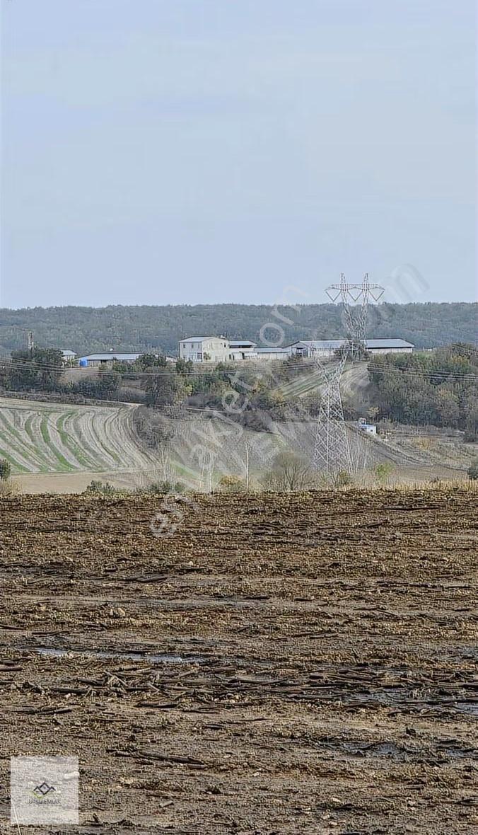 Lüleburgaz Çeşmekolu Da 1286 M2 Asfalt Cephe Satılık Tarla - Görsel 6