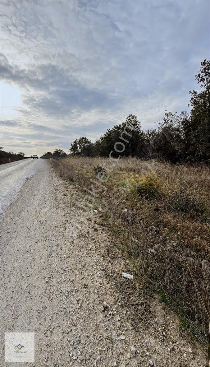 Lüleburgaz Çeşmekolu Da 1286 M2 Asfalt Cephe Satılık Tarla - Görsel 9