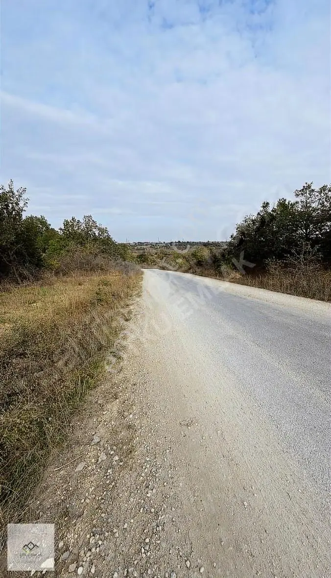 Lüleburgaz Çeşmekolu Da 1286 M2 Asfalt Cephe Satılık Tarla - Görsel 8