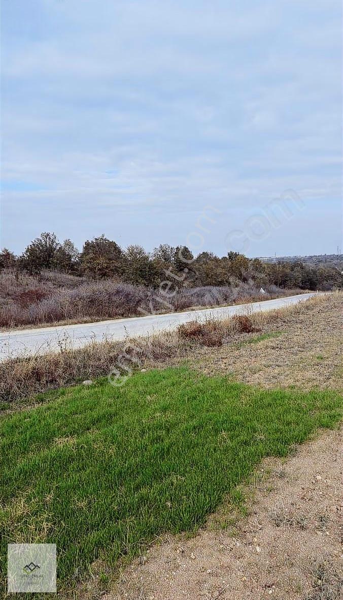 Lüleburgaz Çeşmekolu Da 1286 M2 Asfalt Cephe Satılık Tarla - Görsel 3