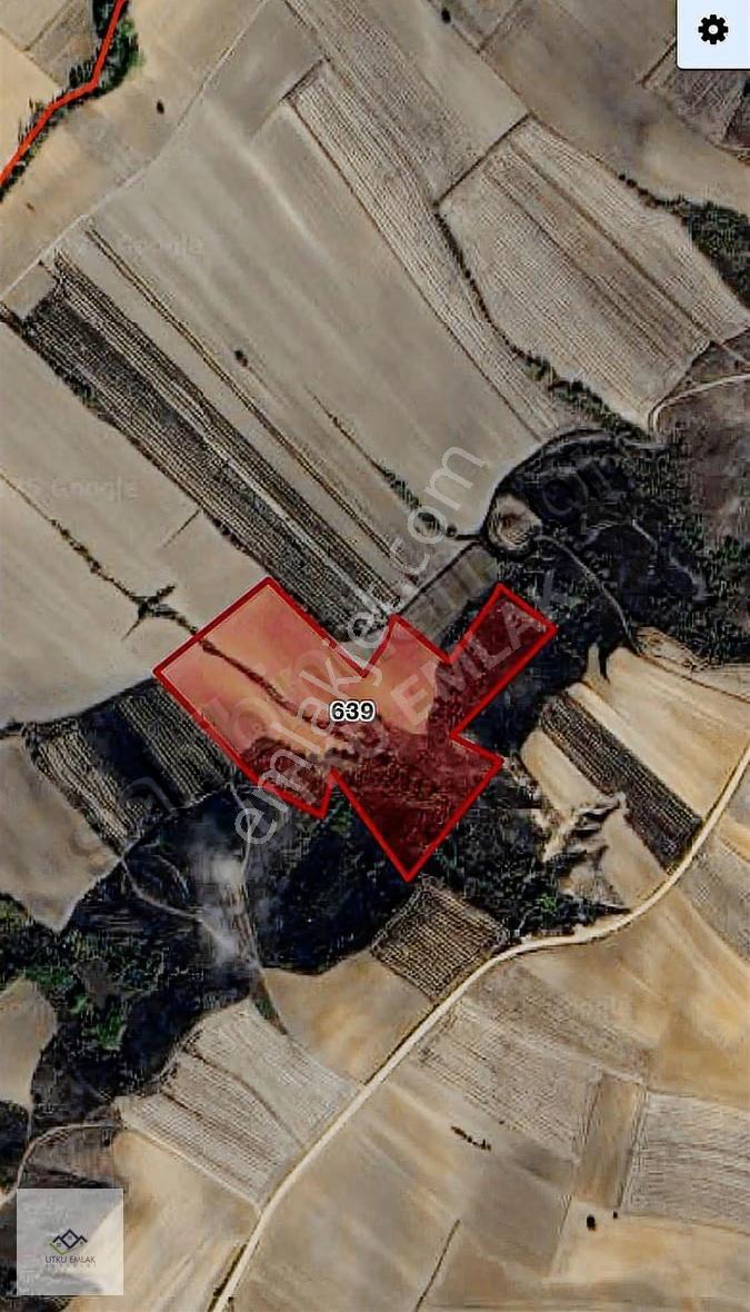 Babaeski Demirkapı Köyünde 49 Dönüm Tek Tapu Fırsat Arazi - Görsel 7
