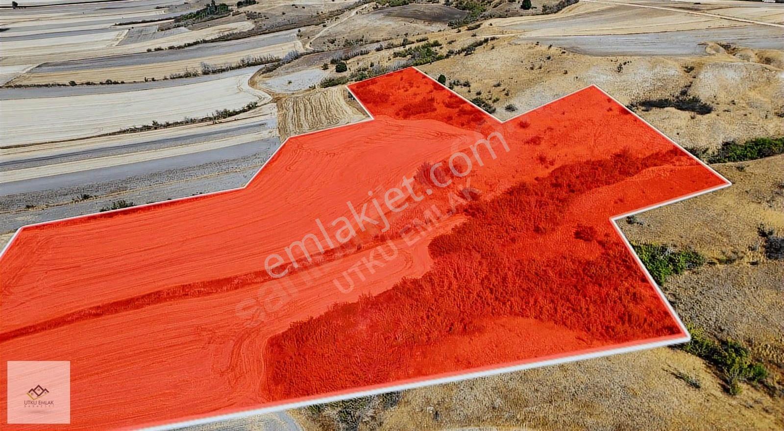 Babaeski Demirkapı Köyünde 49 Dönüm Tek Tapu Fırsat Arazi - Görsel 8