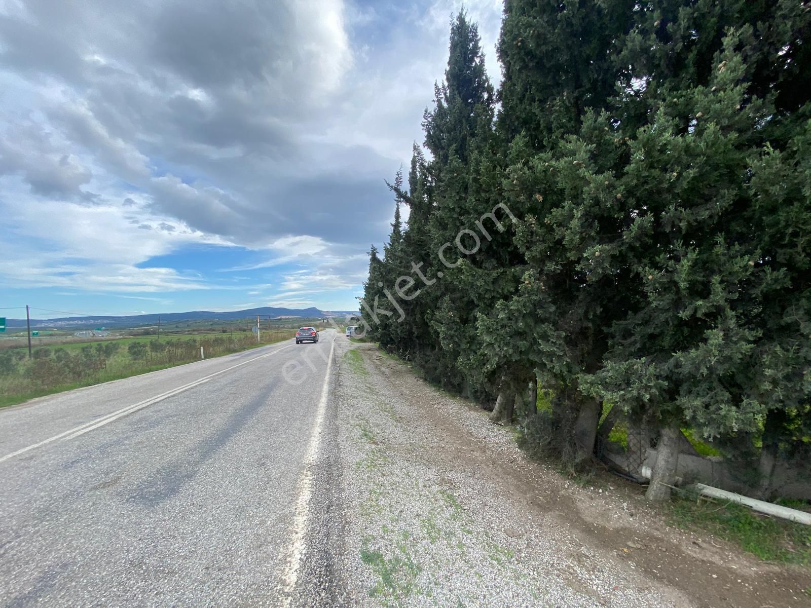 Çandarlı Anayola Cepheli 1+1evi İçinde Bulunan Satılık Zeytinlik - Görsel 29