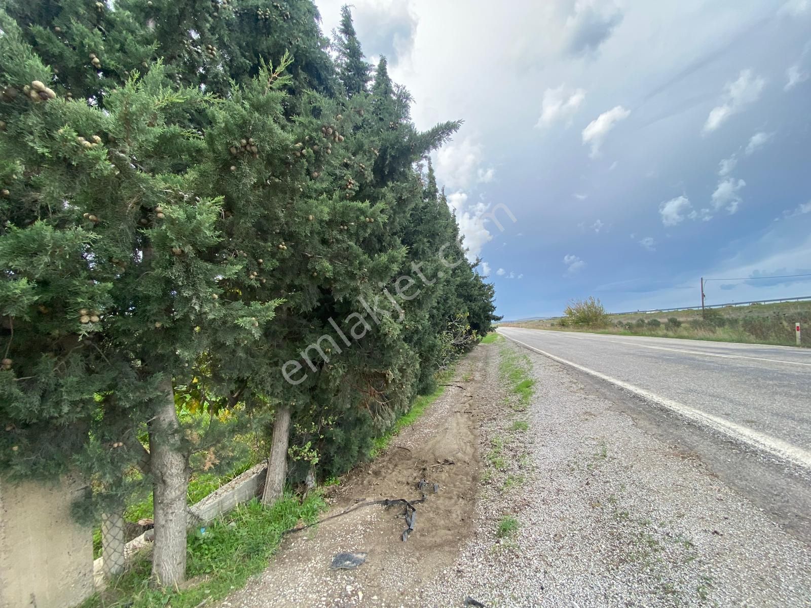 Çandarlı Anayola Cepheli 1+1evi İçinde Bulunan Satılık Zeytinlik - Görsel 26