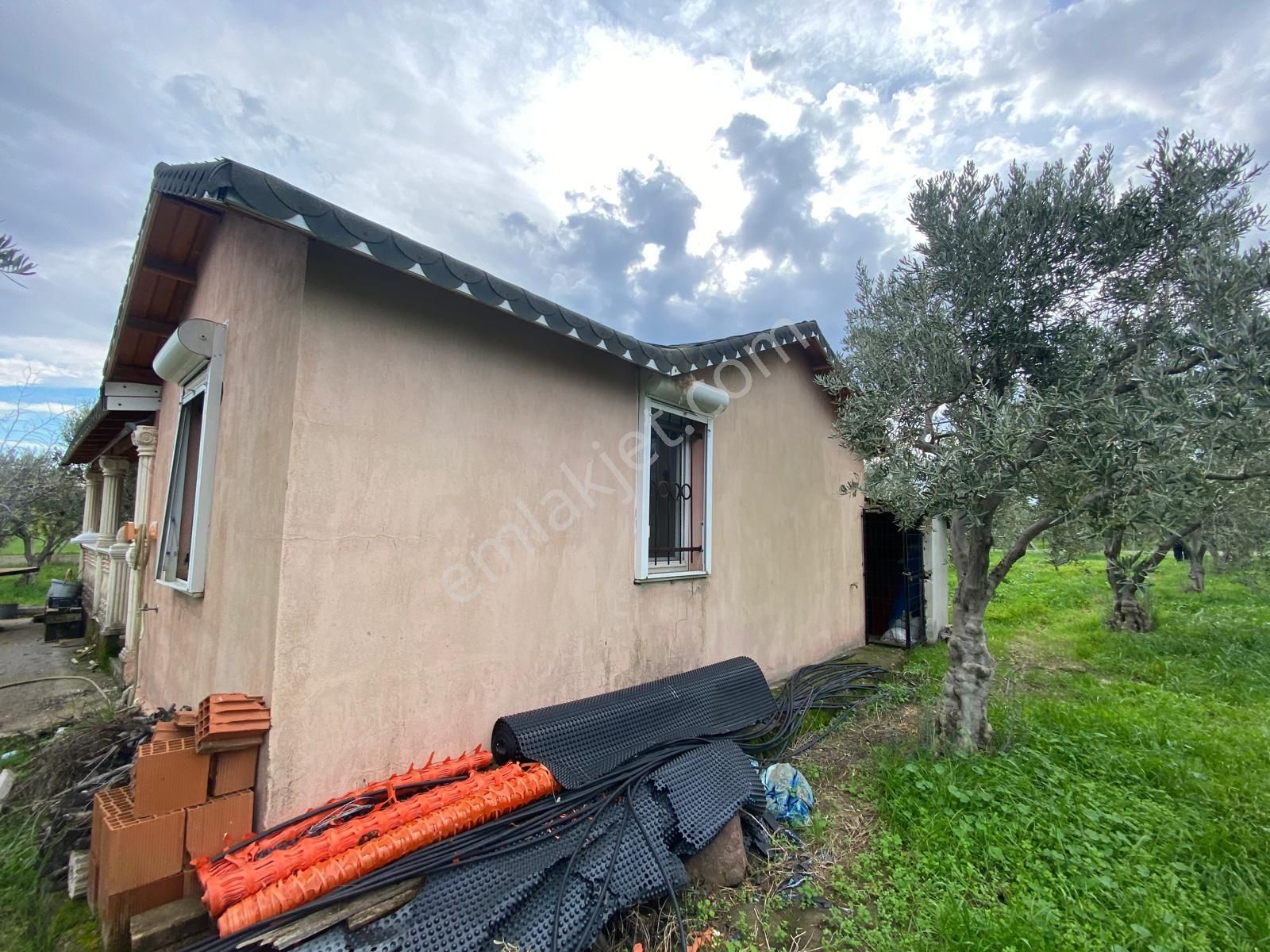 Çandarlı Anayola Cepheli 1+1evi İçinde Bulunan Satılık Zeytinlik - Görsel 16