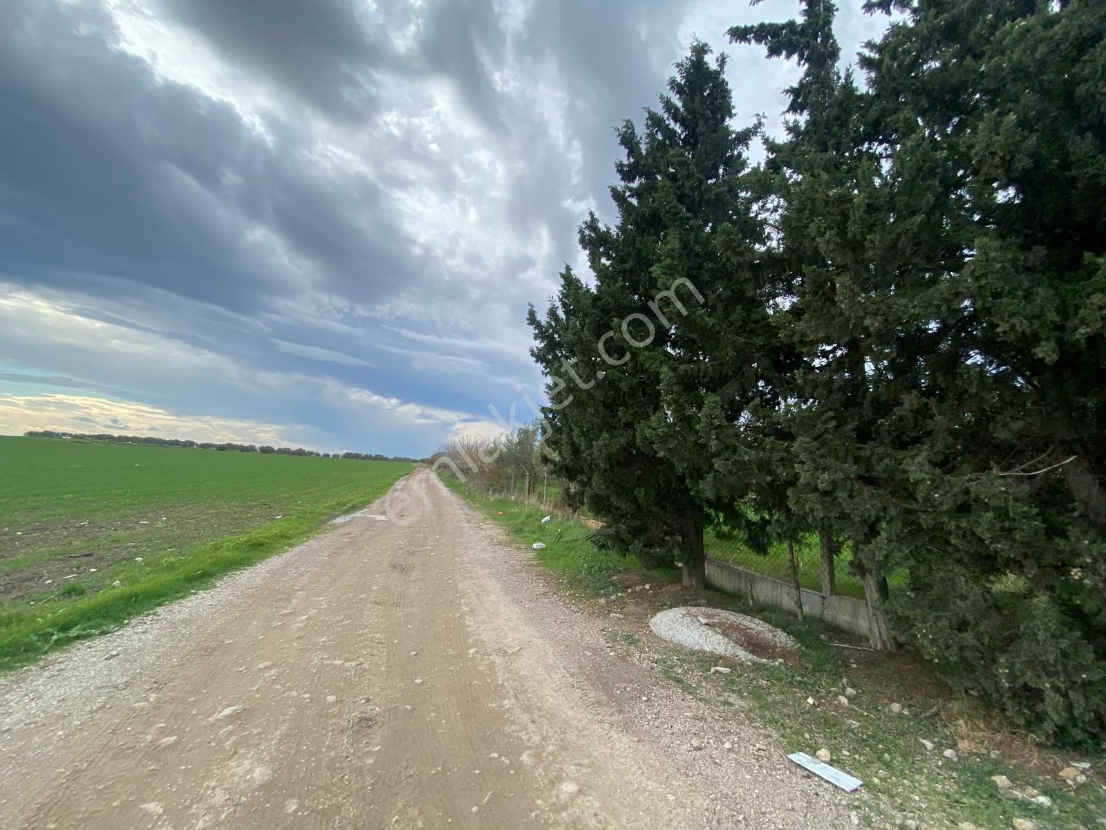 Çandarlı Anayola Cepheli 1+1evi İçinde Bulunan Satılık Zeytinlik - Görsel 34