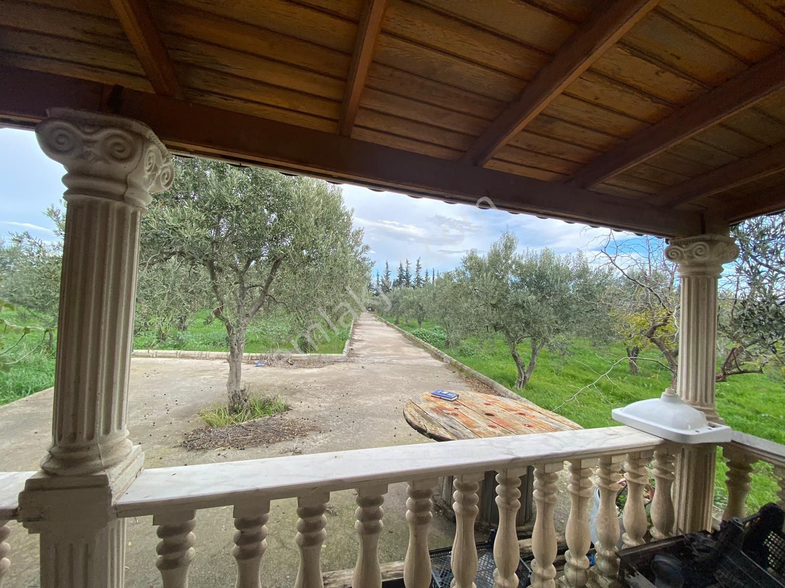 Çandarlı Anayola Cepheli 1+1evi İçinde Bulunan Satılık Zeytinlik - Görsel 20