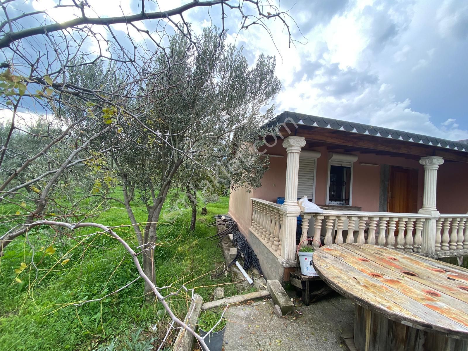 Çandarlı Anayola Cepheli 1+1evi İçinde Bulunan Satılık Zeytinlik - Görsel 19