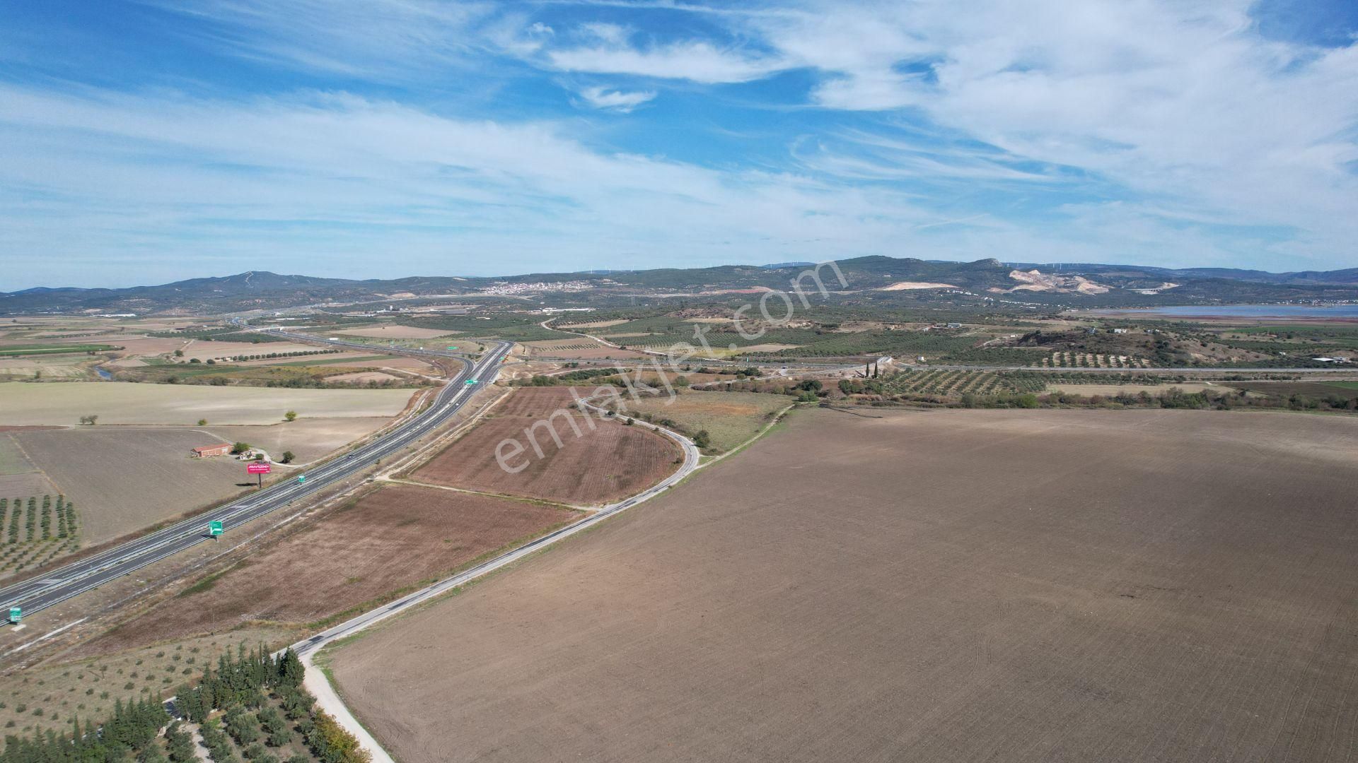 Çandarlı Anayola Cepheli 1+1evi İçinde Bulunan Satılık Zeytinlik - Görsel 33