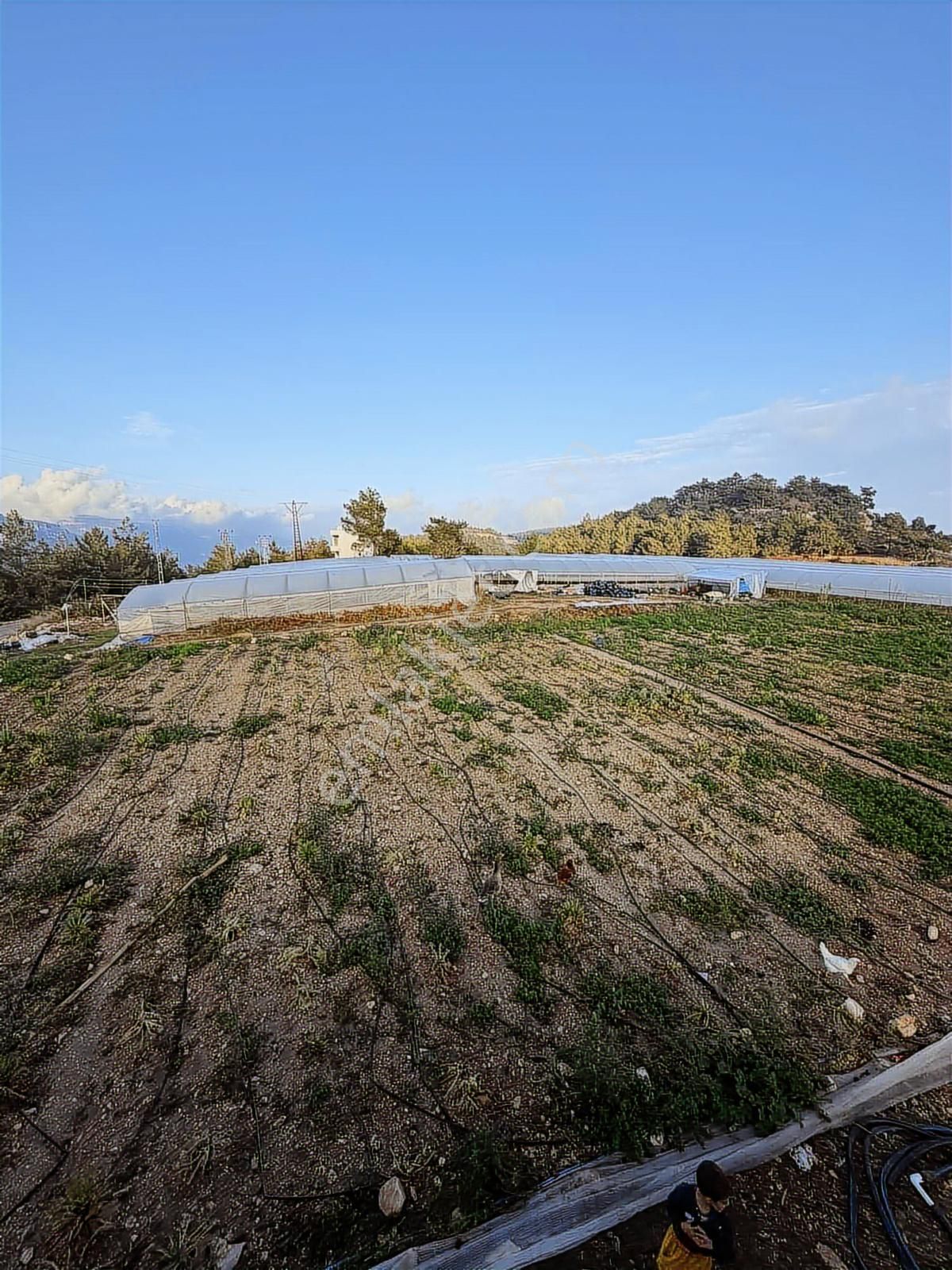 Mersin Erdemli Gücüşte 8 Dönüm Sera Ve İçinde 3+1 Ev - Görsel 31