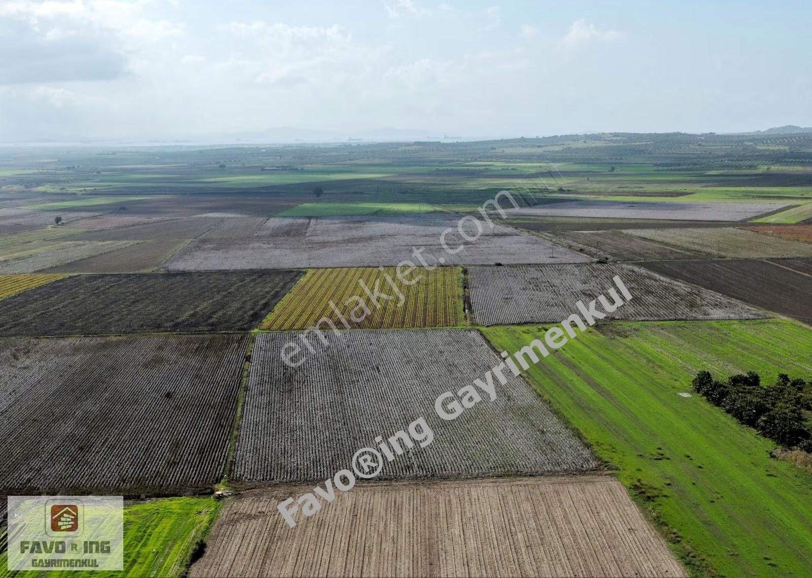 Bergama Yeniköy Tarlaları | 8.020 M2 Düz Ova | Satılık Tarla - Görsel 10