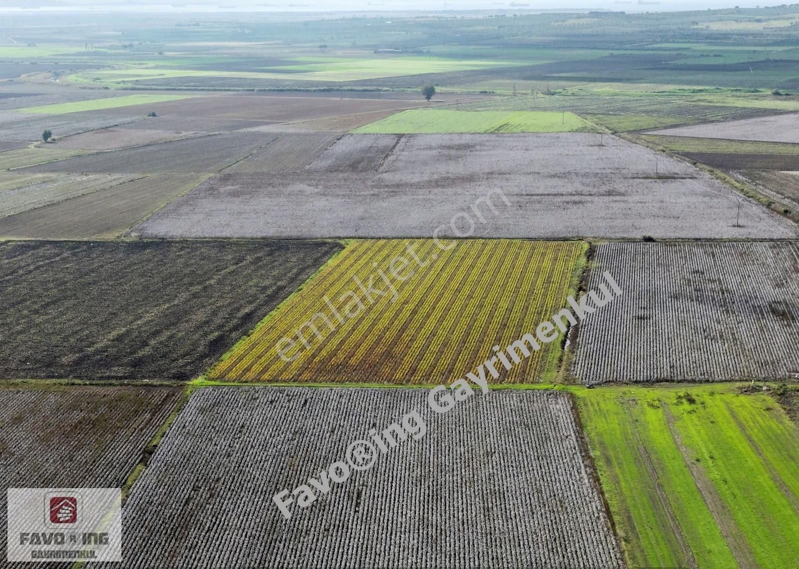 Bergama Yeniköy Tarlaları | 8.020 M2 Düz Ova | Satılık Tarla - Görsel 18