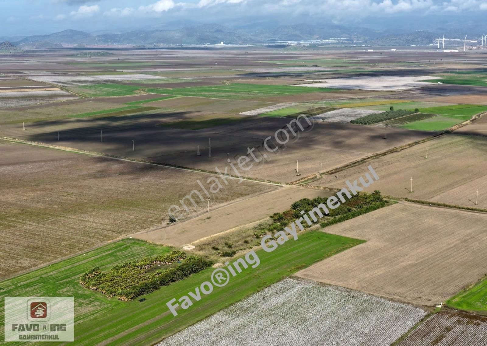 Bergama Yeniköy Tarlaları | 8.020 M2 Düz Ova | Satılık Tarla - Görsel 7