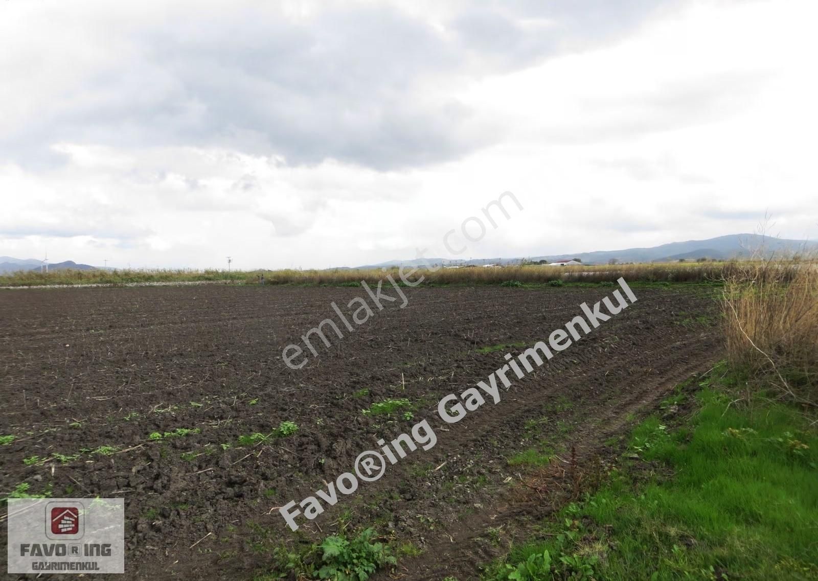 Bergama Aşağıkırıklar | 4.802 M2 Düz Ova | Satılık Tarla - Görsel 11